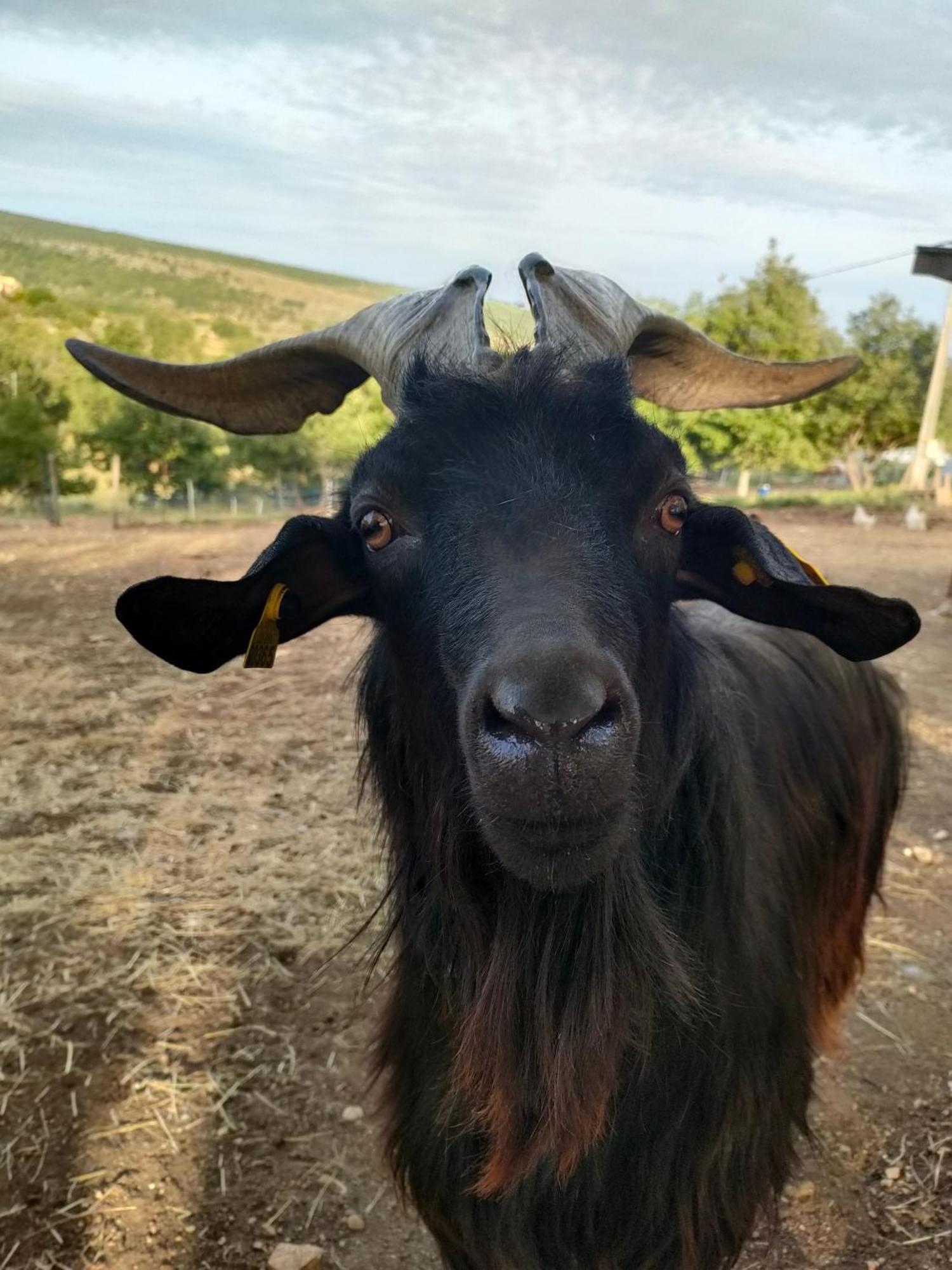 Gite A La Ferme Ongles Exteriér fotografie