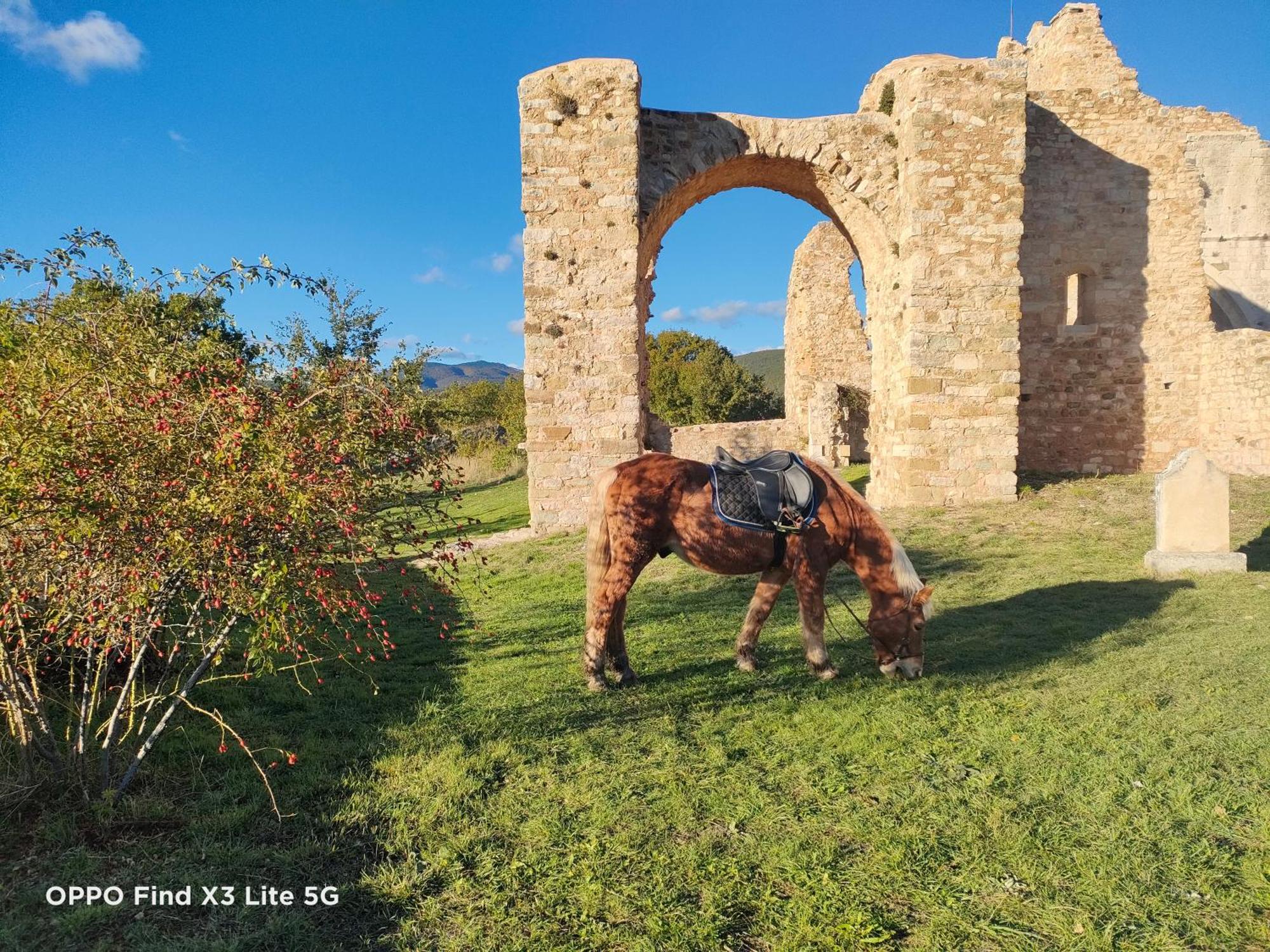 Gite A La Ferme Ongles Exteriér fotografie