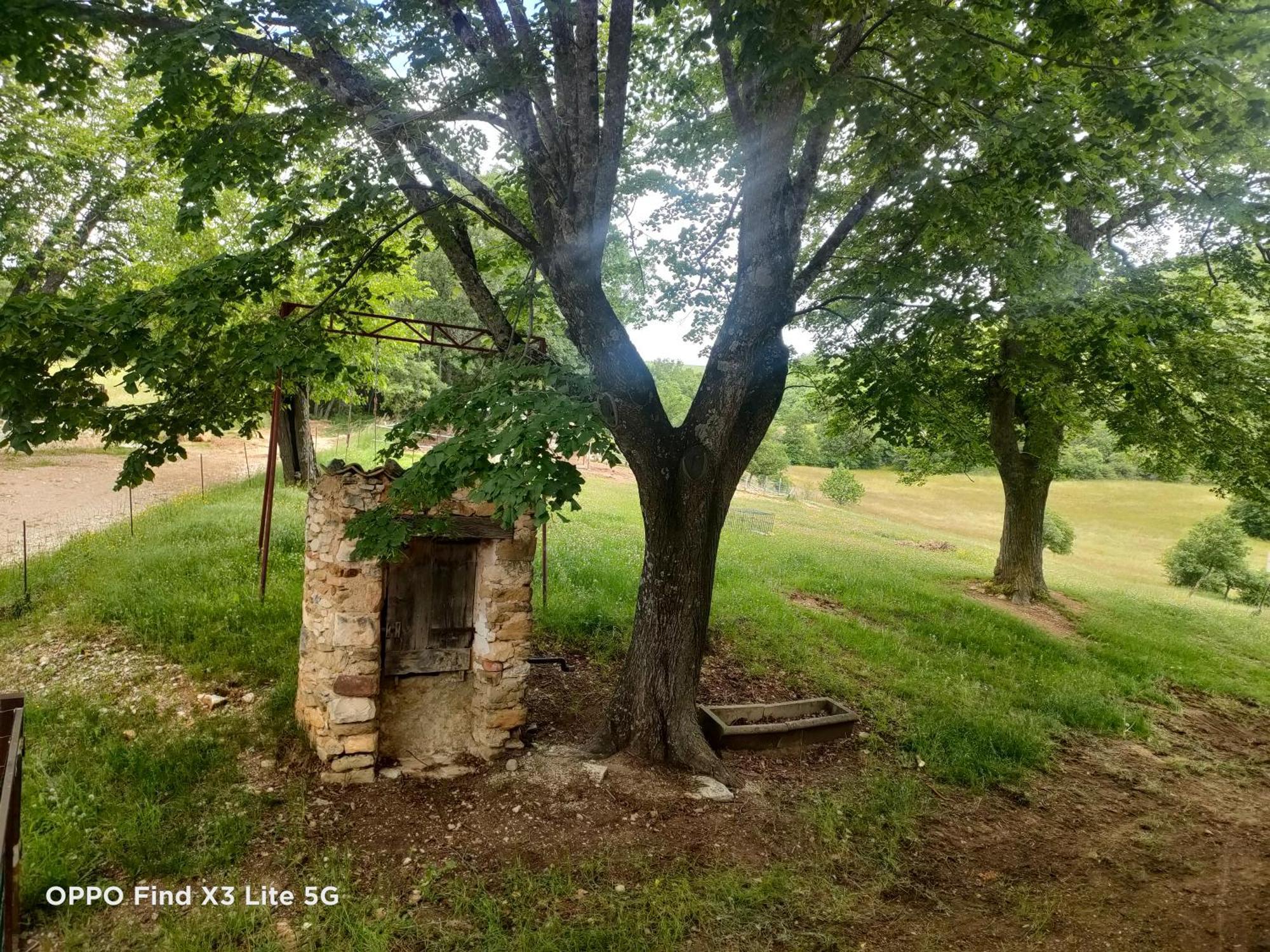 Gite A La Ferme Ongles Exteriér fotografie