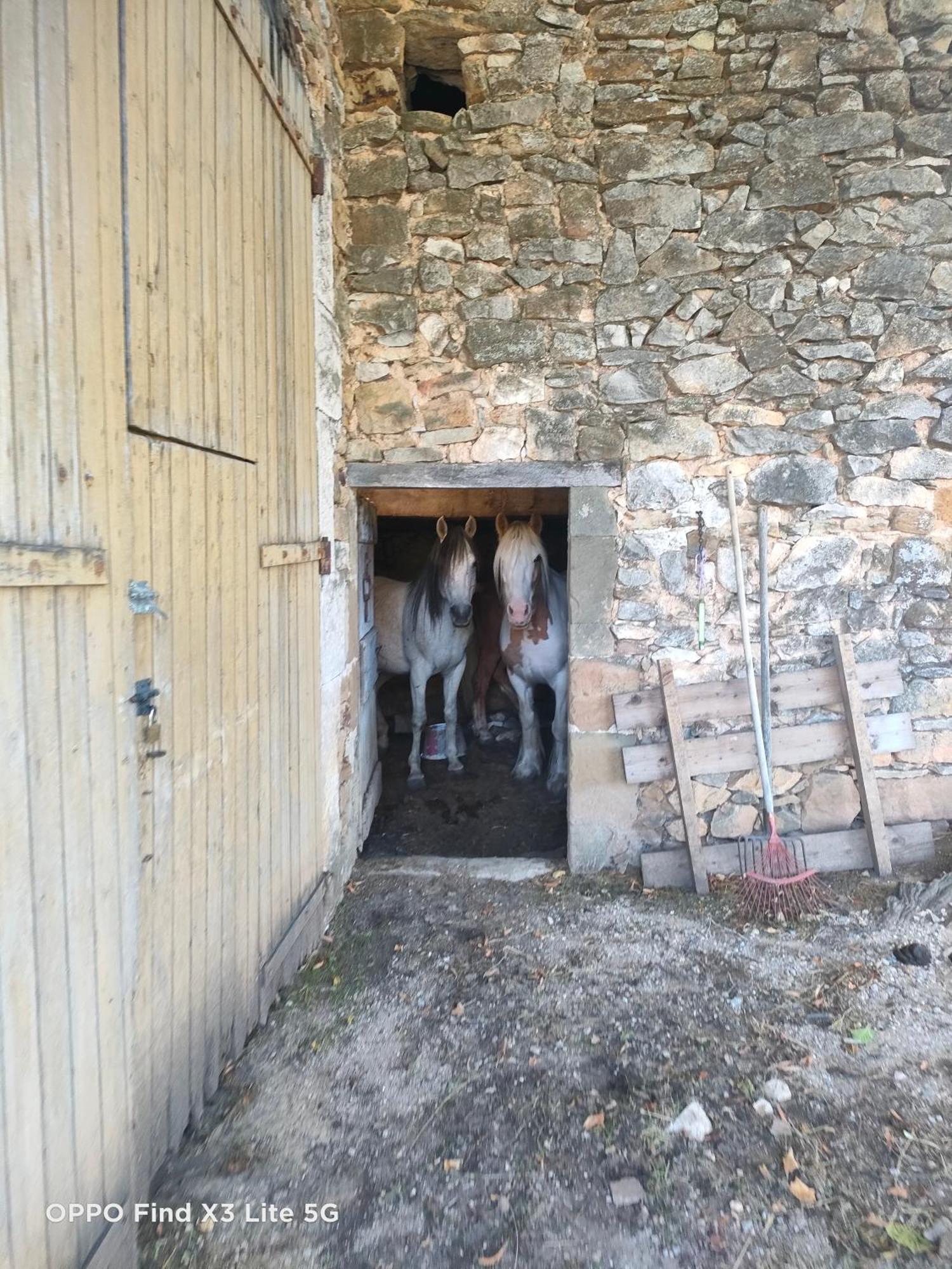 Gite A La Ferme Ongles Exteriér fotografie